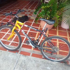 Bicicleta rin 24"